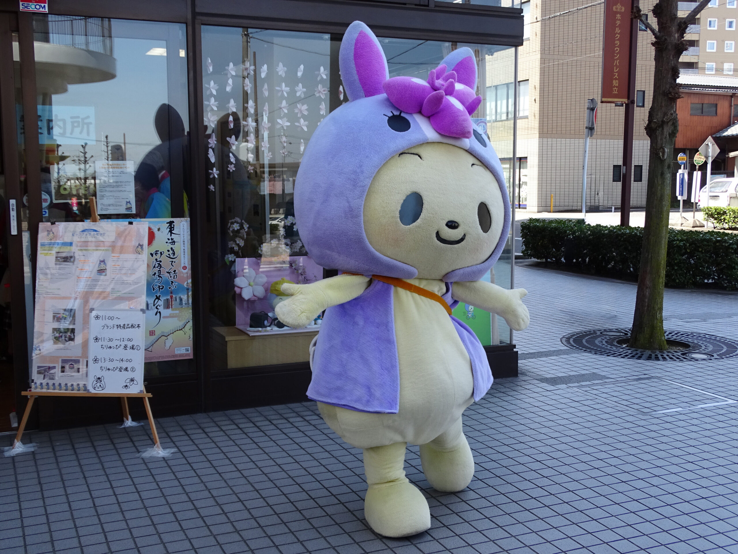 都市・近郊の信仰と遊山・観光 : 交流と変容
